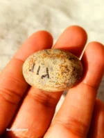 Neyshabur Natural Turquoise - N-003 - Image 3