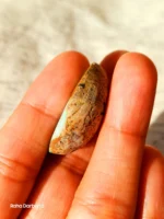 Neyshabur Natural Turquoise - N-003 - Image 2