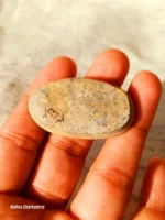 Neyshabur Natural Turquoise - N-009 - Image 3