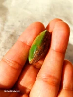 Neyshabur Natural Turquoise - N-011 - Image 3