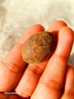 Neyshabur Natural Turquoise - N-011 - Image 4