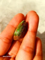 Neyshabur Natural Turquoise - N-012 - Image 3