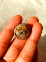 Neyshabur Natural Turquoise - N-015 - Image 3