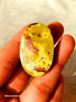 Neyshabur Natural Turquoise - N-016