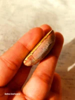 Neyshabur Natural Turquoise - N-016 - Image 2