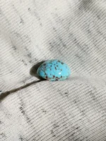Neyshabur Natural Turquoise - N-023 - Image 2