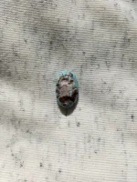 Neyshabur Natural Turquoise - N-047 - Image 3