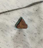 Neyshabur Sky Blue Turquoise - SB-003 - Image 2