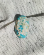 Neyshabur Sky Blue Turquoise - SB-035 - Image 3