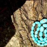 Neyshabur Turquoise Tasbih - T-02 - Image 4