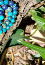Neyshabur Turquoise Tasbih - T-07 - Image 4